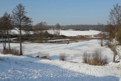 IMG_9950