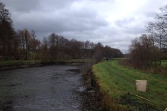 Gewässerbilder - neue Weiher