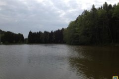 Gewässerbilder - Schrottensee-Treppendorf